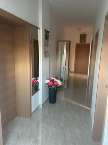 Deluxe Apartman Mimi Viskovo With A Free Parking Space Buitenkant foto